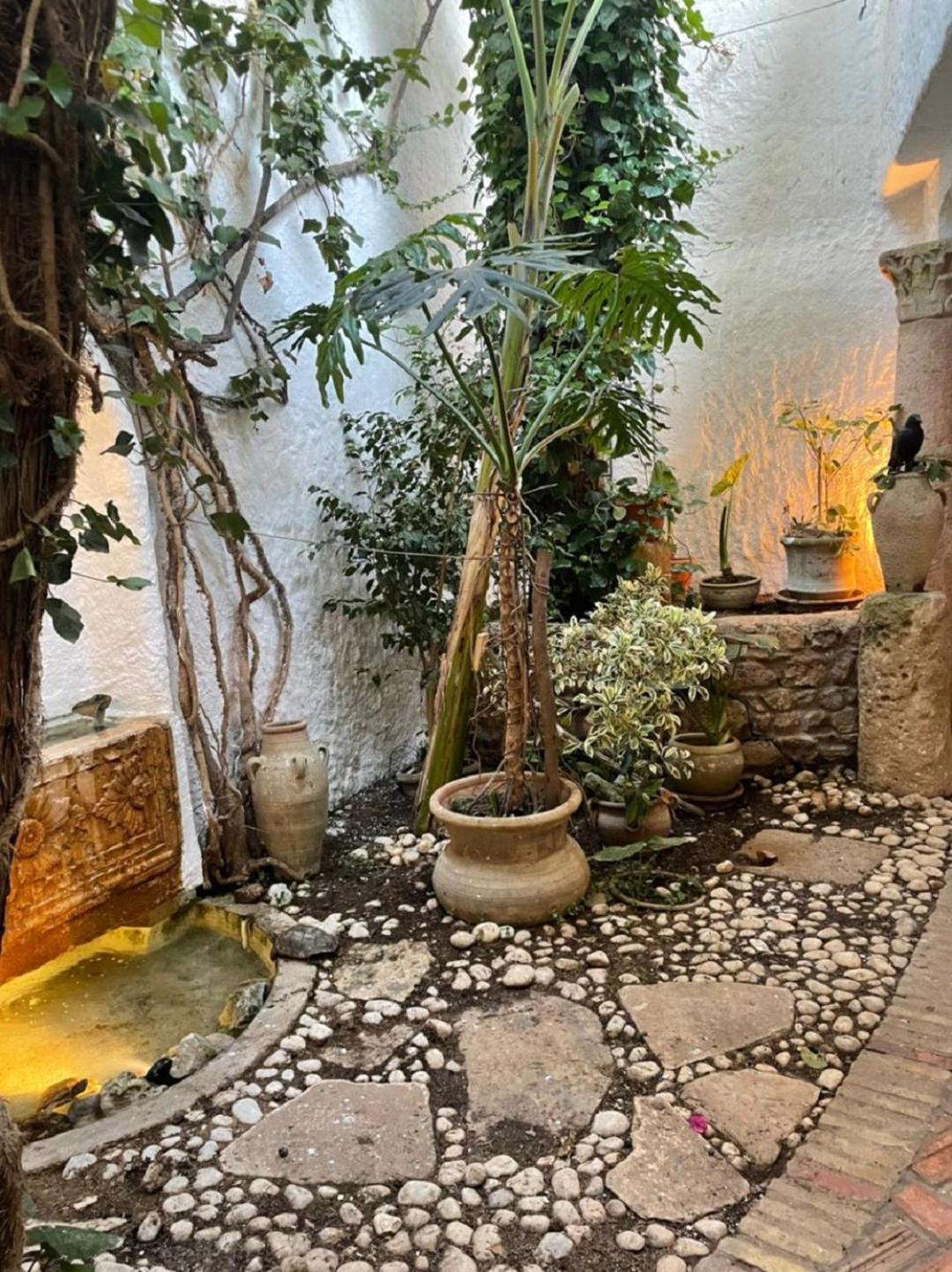 Dar Esaroual